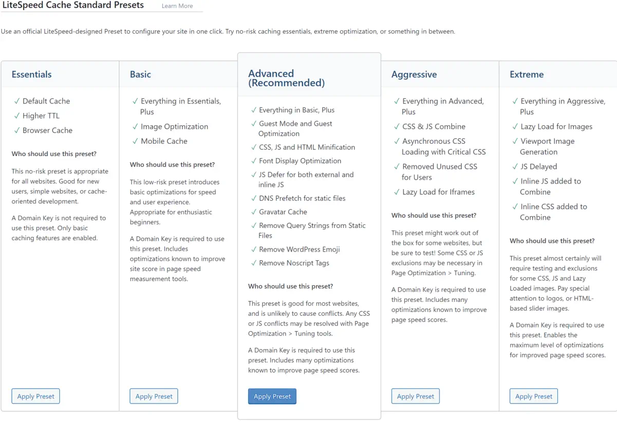 Screenshot of LiteSpeed Cache preset options.